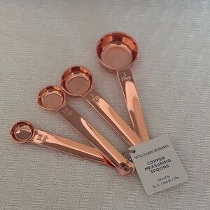 Williams Sonoma Copper Measuring Spoons Set